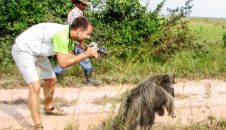 "Araguato Expeditions" Tour | Safari Los Llanos - Apure State - Venezuela