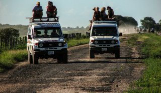"Araguato Expeditions" Tour | Safari Los Llanos - Venezuela